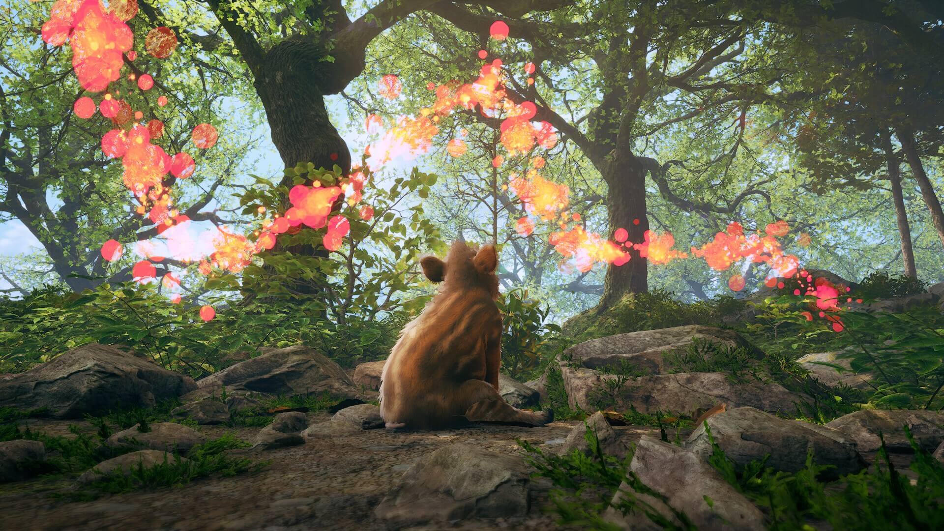 Adorable Adventures Banner Image