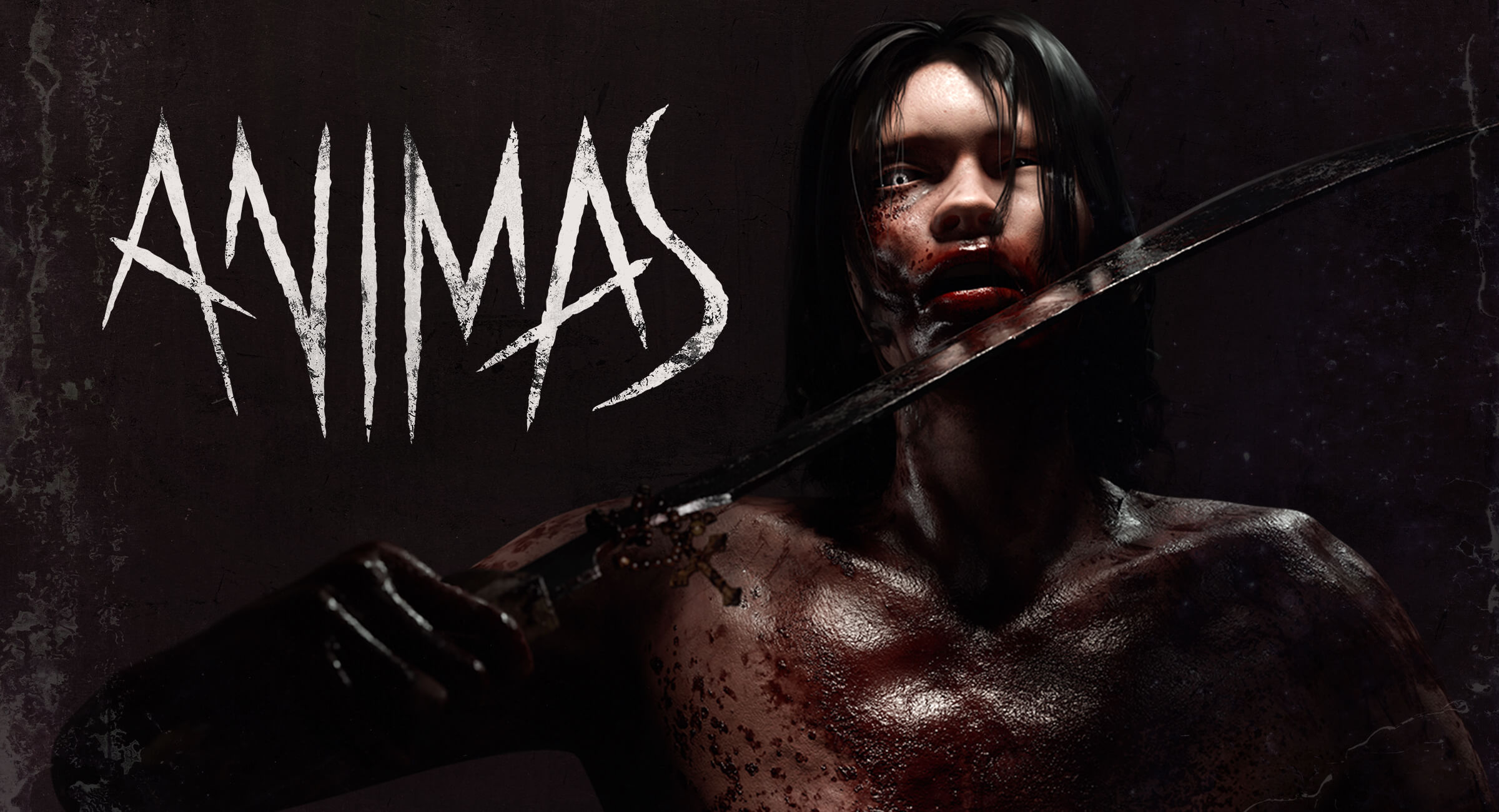 Animas Banner Image