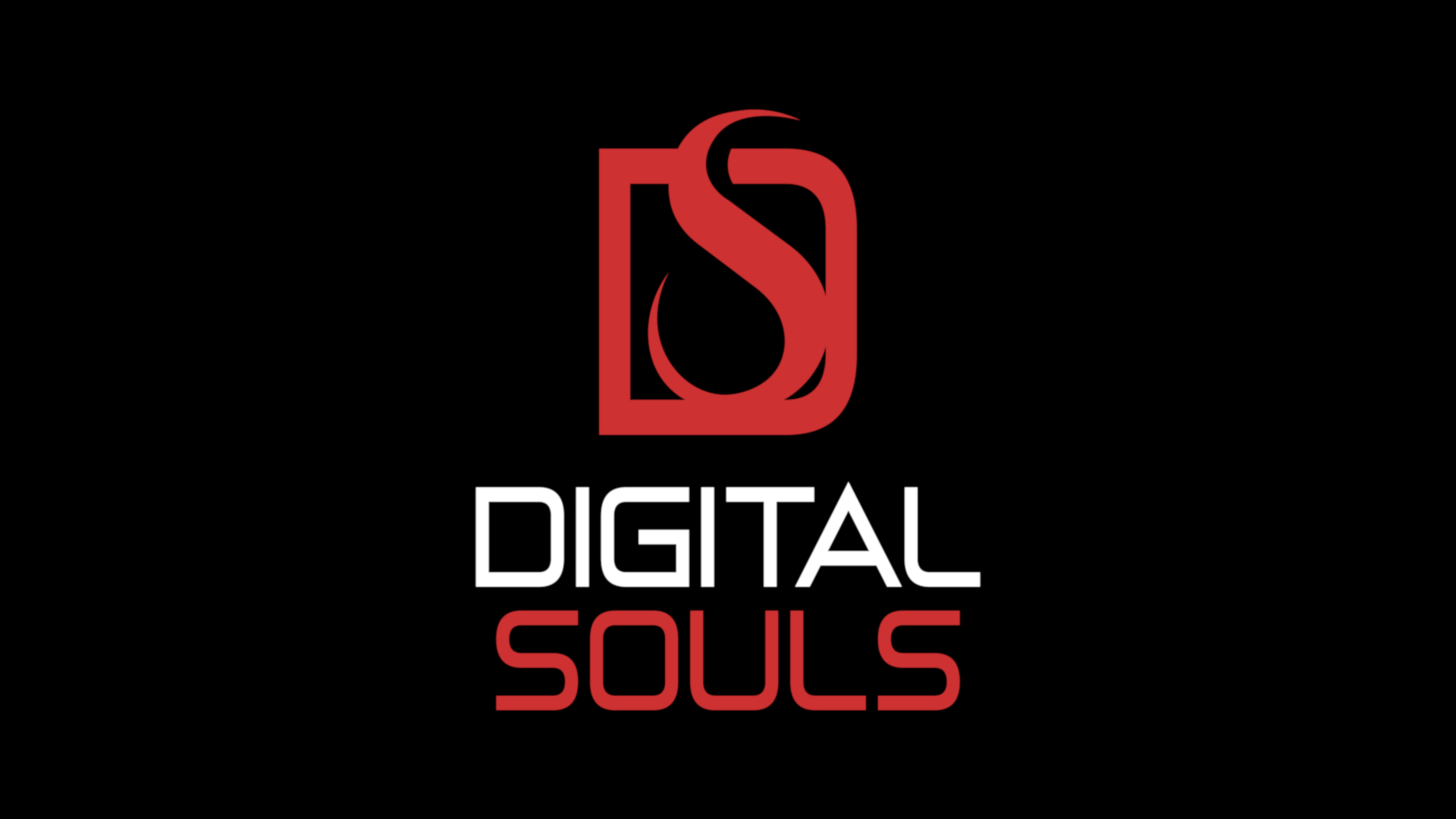 DigitalSouls Logo