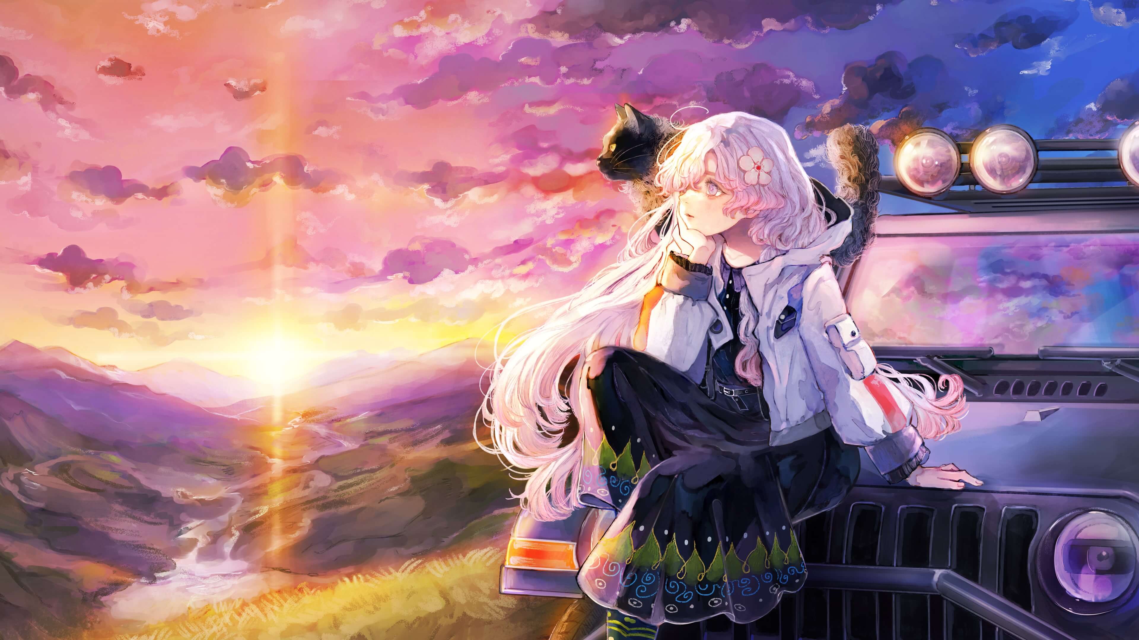 HYKE: Northern Light(s) Banner Image