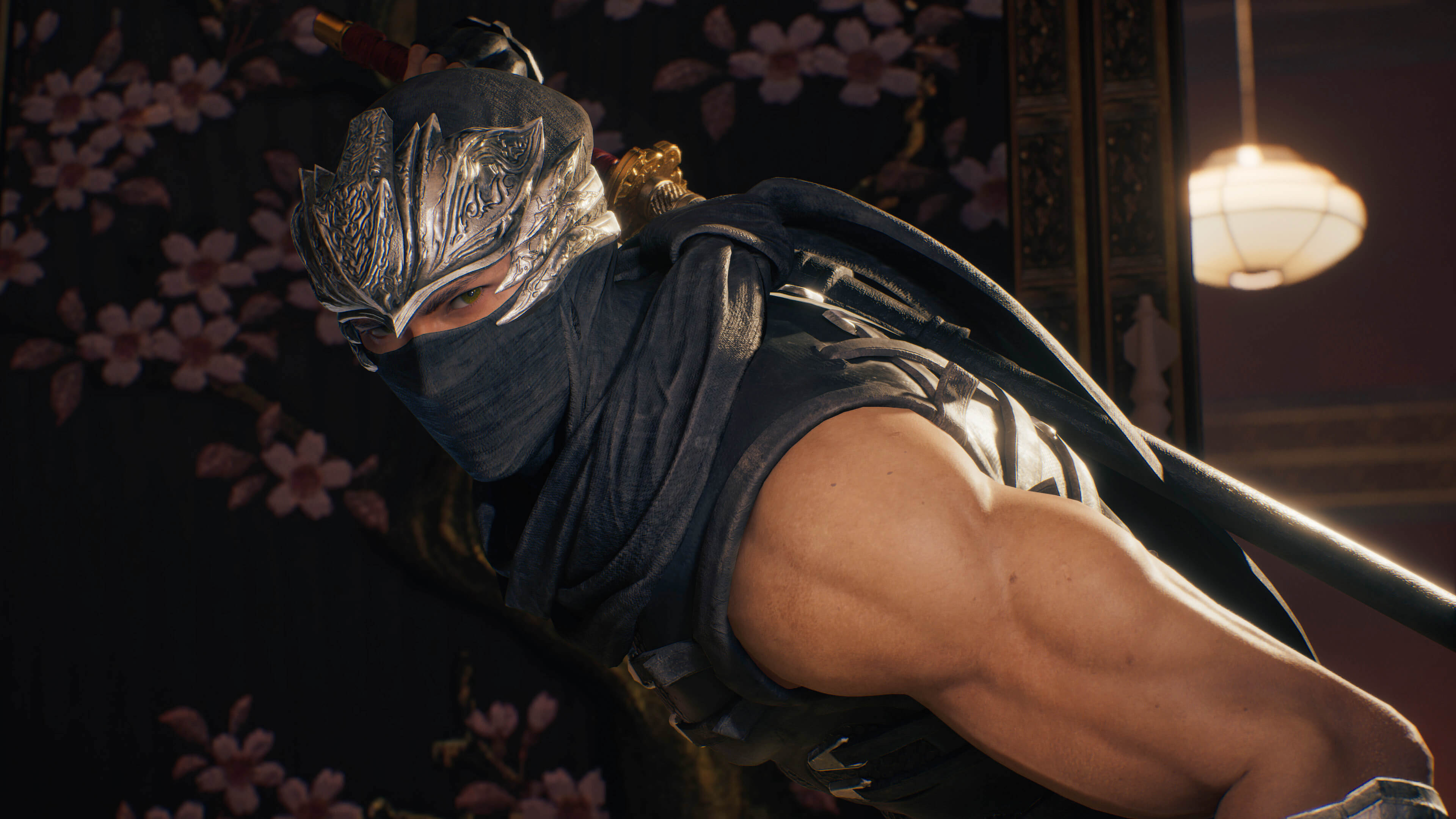 NINJA GAIDEN 2 Black Screenshot Image