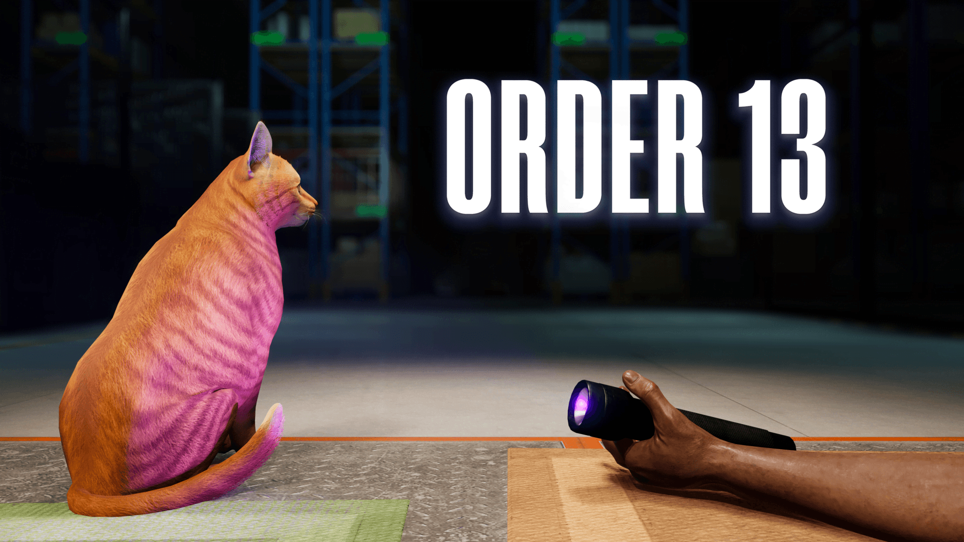 ORDER 13 Banner Image