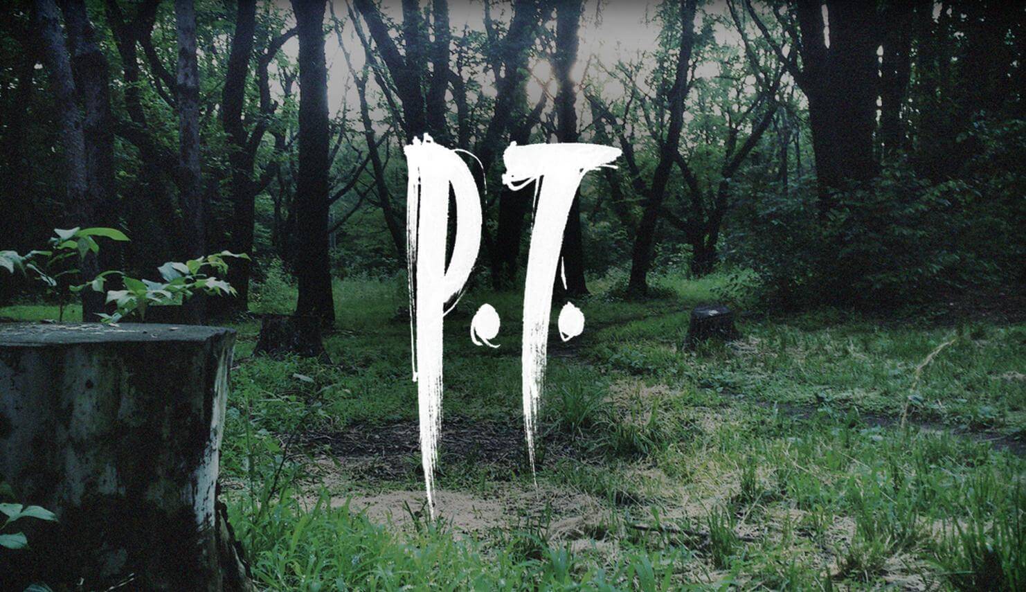 P.T. Banner Image