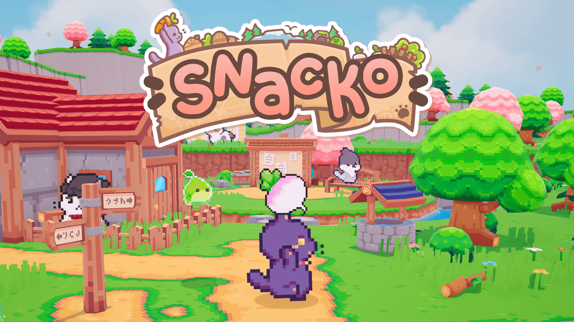 Snacko Banner Image