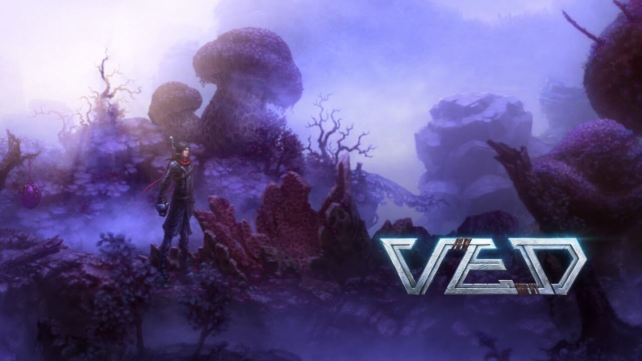 VED Banner Image